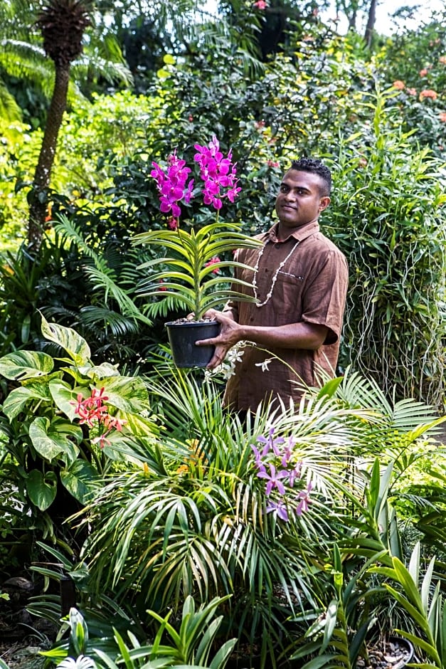 The Fiji Orchid Resort