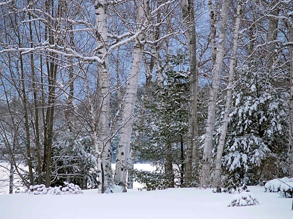 Wilson Lake Inn