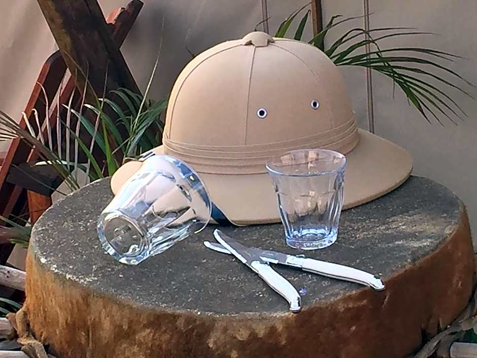 Out in Africa Wildlife Lodge