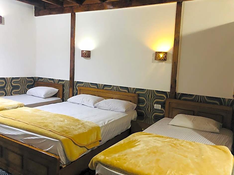 Oasis Fighting Kangaroo