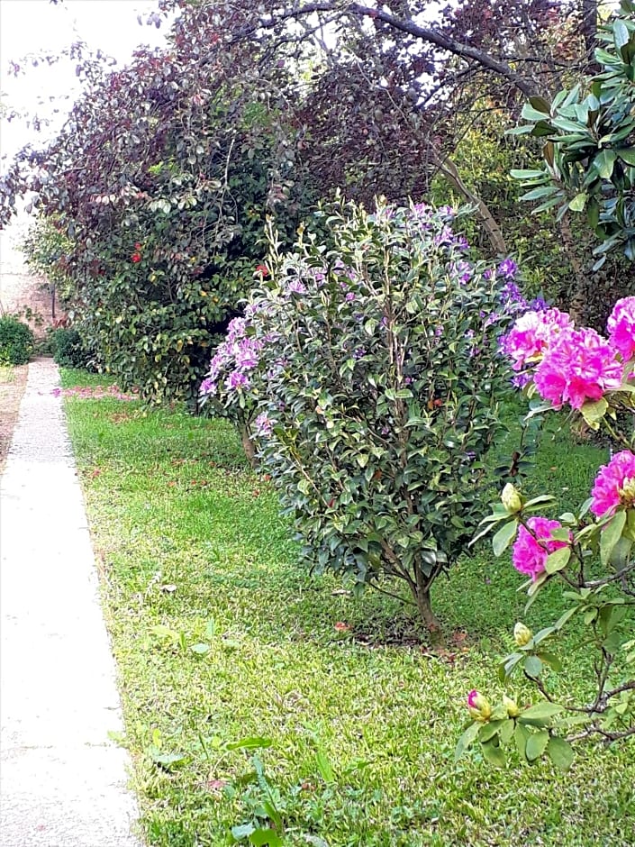 Quinta D'Avó Amélia