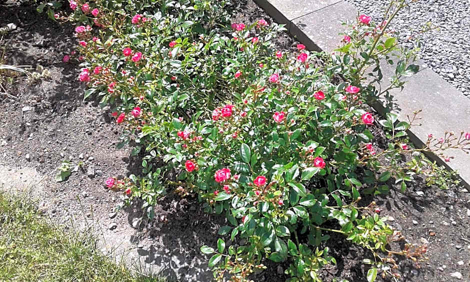 Vare 4 vandrarhem AB