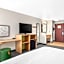 Spark by Hilton Minot