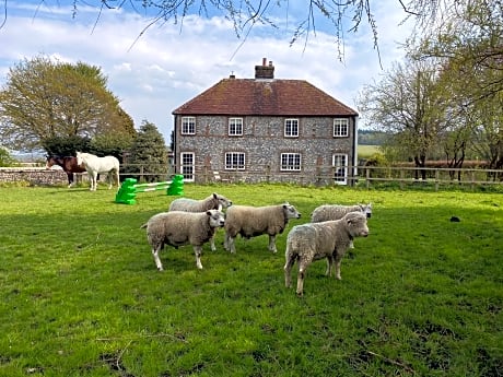 Charlton End - Goodwood Events