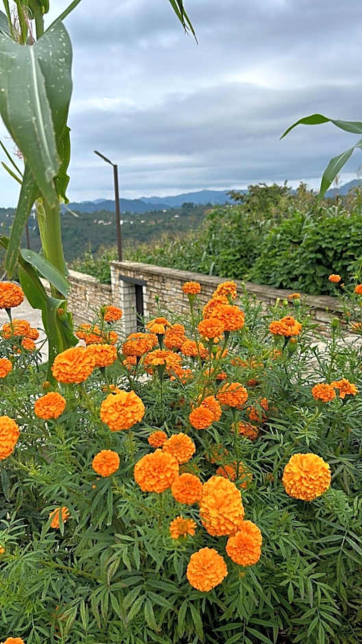 Meryem Hanım Butik Hotel
