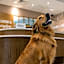 Hampton Inn & Suites Knoxville-Turkey Creek/Farragut