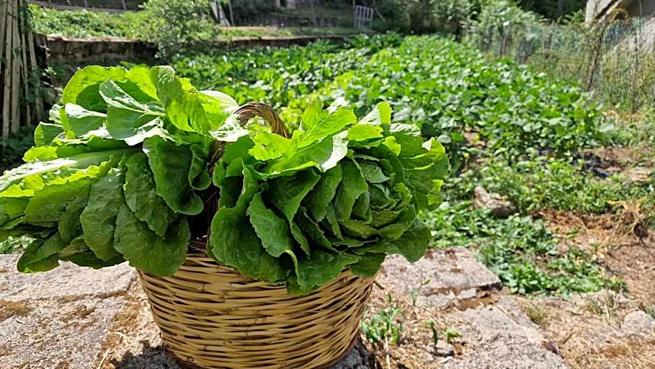 Hotel del Lago Ampollino