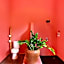 PinkCoco Uluwatu - Constant Surprises & for Cool Adults Only