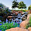 Holiday Inn Express Frisco Legacy Park Area By IHG
