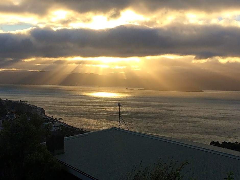 Harbour Lodge Wellington
