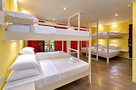 Bed in 8-Bed Mixed Dormitory Room
