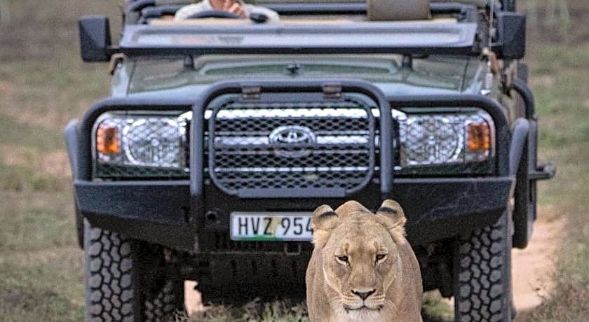 HillsNek Safari Camp