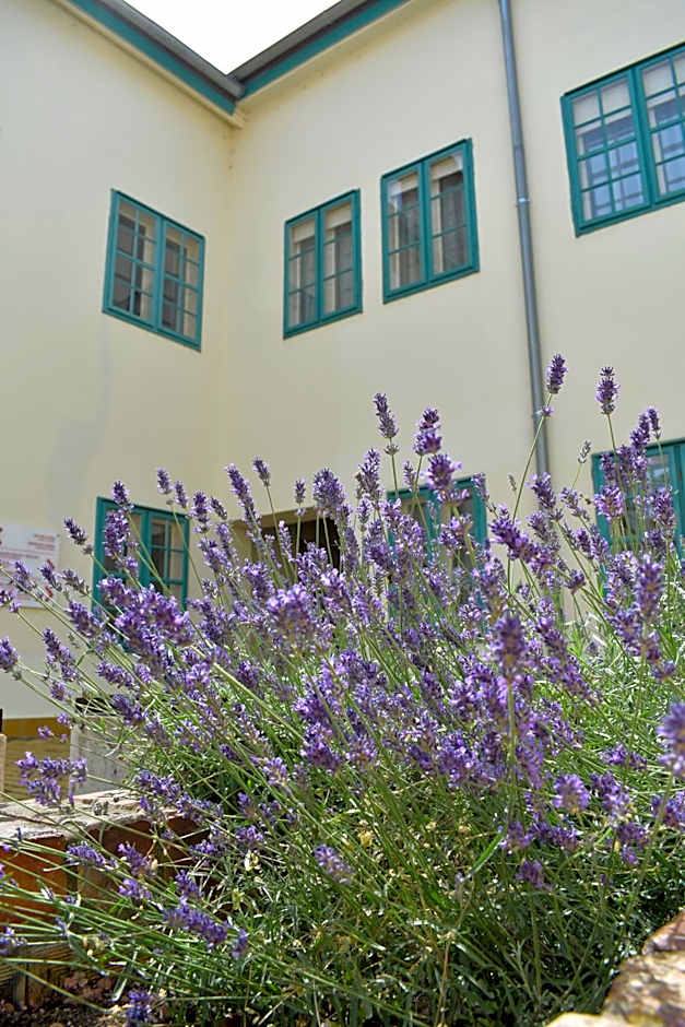 Zsolnay Negyed Vendégháza