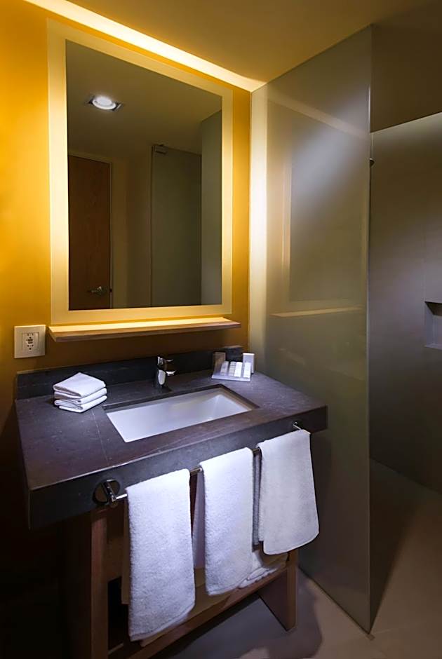 Hilton Garden Inn Monterrey Airport