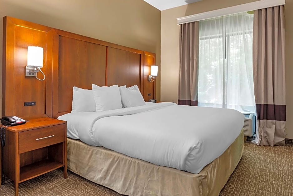 Comfort Suites Clayton - Garner