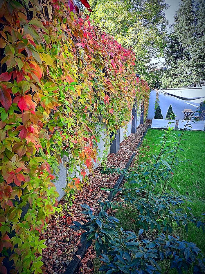 La Petite APARTMENTS & ROOMS