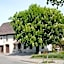 Restaurant-Hotel Maien