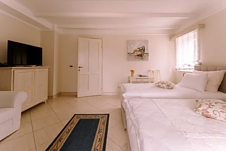 Double or Twin Room with Park View