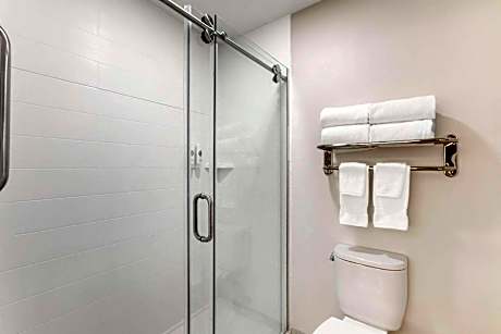 1 King Bed, Suite, Nonsmoking