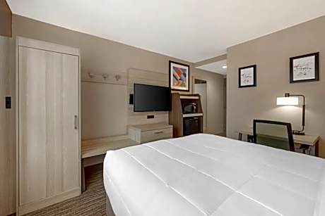 1 King Bed Nonsmoking