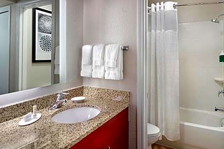 Studio, 1 King Bed with Sofa bed (1 King Bed and 1 Double Sofa Bed)