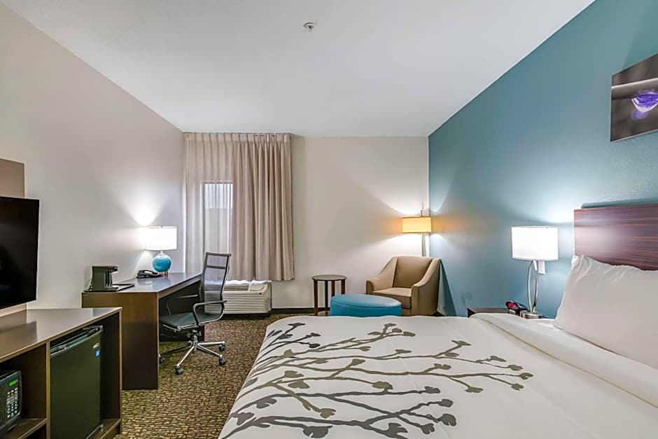 Standard 1 King Bed — 4 fotoğraftan 1. fotoğraf