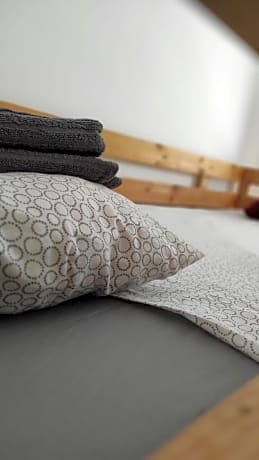 Shared Apartment Little Kaktus