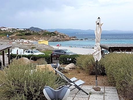 B&B Mistral