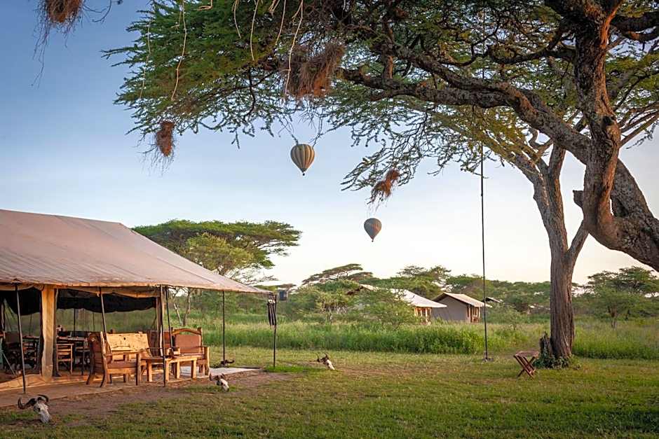 Gnu Ndutu Camp