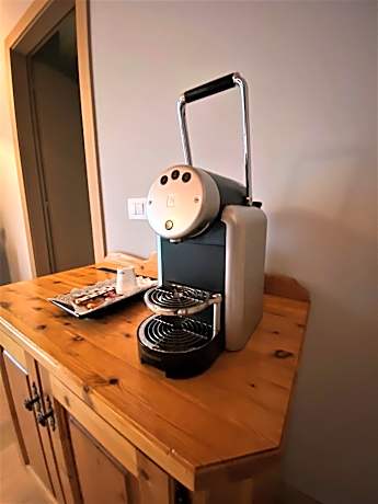 Superior Double or Twin Room with City View