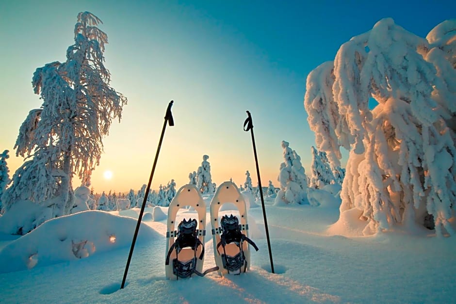Arctic Circle Wilderness Resort