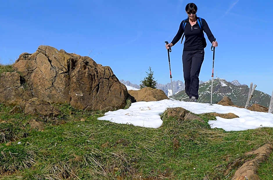 BichlAlm Berggasthof