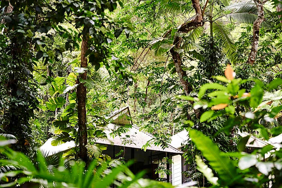 Daintree Eco Lodge & Spa