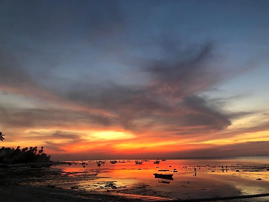 Aluna Beach Apartments