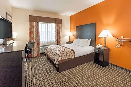1 Queen Bed Mobility Accessible Room Non-Smoking
