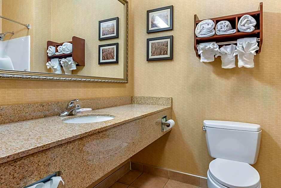 Comfort Suites Elkhart South