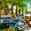Dive Palm Springs