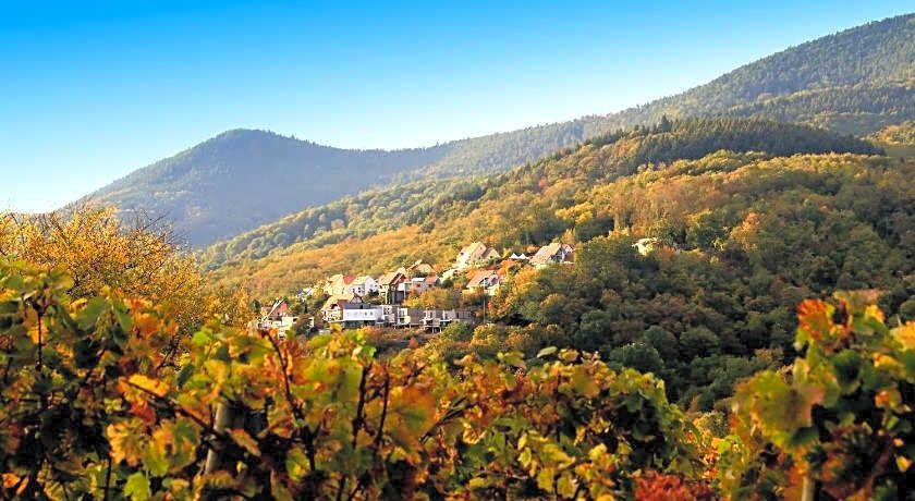 Terrasses d'Alsace