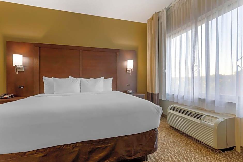 Comfort Suites Little Rock