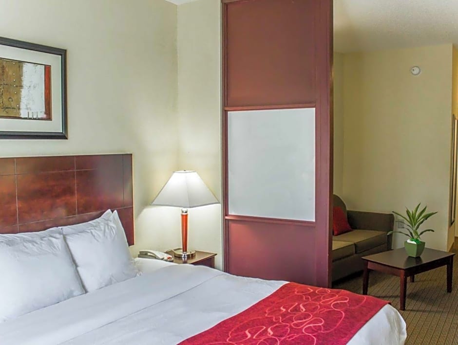 Comfort Suites Clayton - Garner