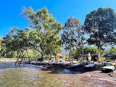 Marimare Beach Bungalow