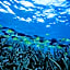 Mackerel Islands