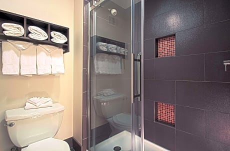 1 KING SUITE MOBILITY ACCESS TUB NONSMOKING, MICROWV/FRIDGE/WET BAR/HDTV/WORK AREA, FREE WI-FI/HOT BREAKFAST INCLUDED