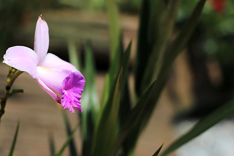 Pousada Nossa Senhora Aparecida