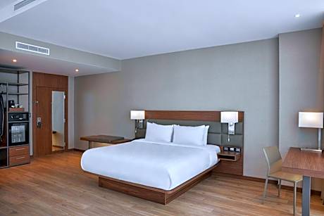 One-Bedroom King Suite with Sofa Bed and City View