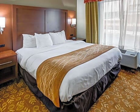 King Suite - Accessible/Non Smoking
