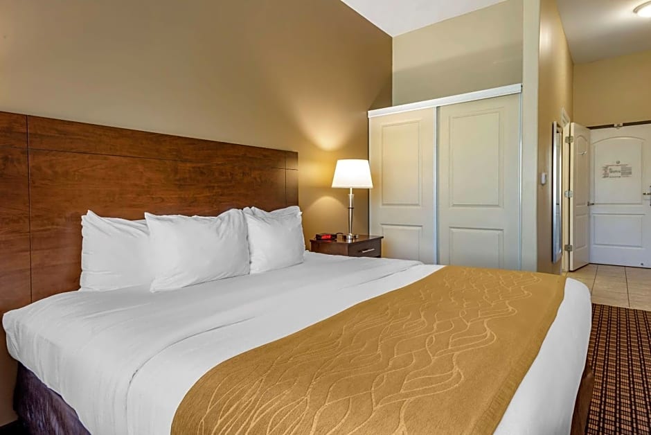 Comfort Inn & Suites Barnesville - Frackville