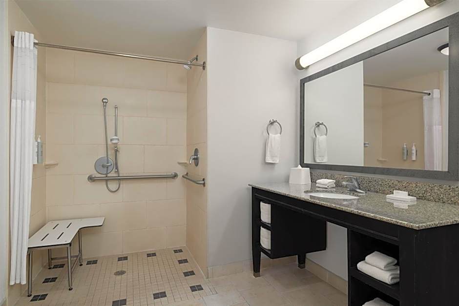 Hampton Inn By Hilton And Suites Baton Rouge