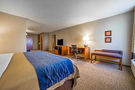 1 King Bed, Suite, Nonsmoking