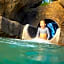 The Lodge at Kukui'ula, a Destination by Hyatt Residence